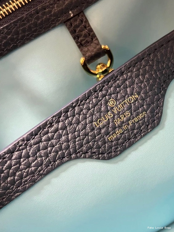 Fake Louis Bags VUITTON CAPUCINES BB LOUIS 0726